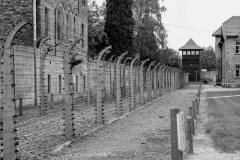 Auschwitz 2